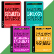 Big Fat Notebook High School 4-book set