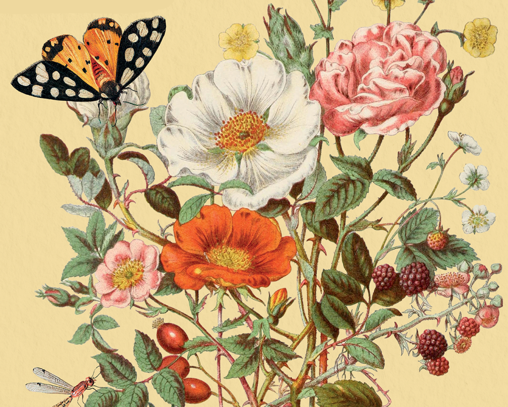 Dear Environmentalist: Notes on Climate, Community, and the World We Still Deserve