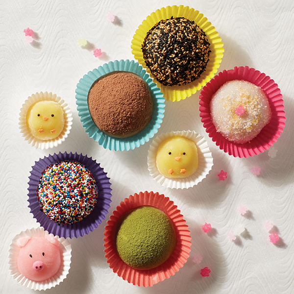 Bring a Little Mochi Magic to Your Lunar New Year | Hachette Book