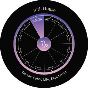 10th House card from Mystic Mondays: The Astro Alignment Deck