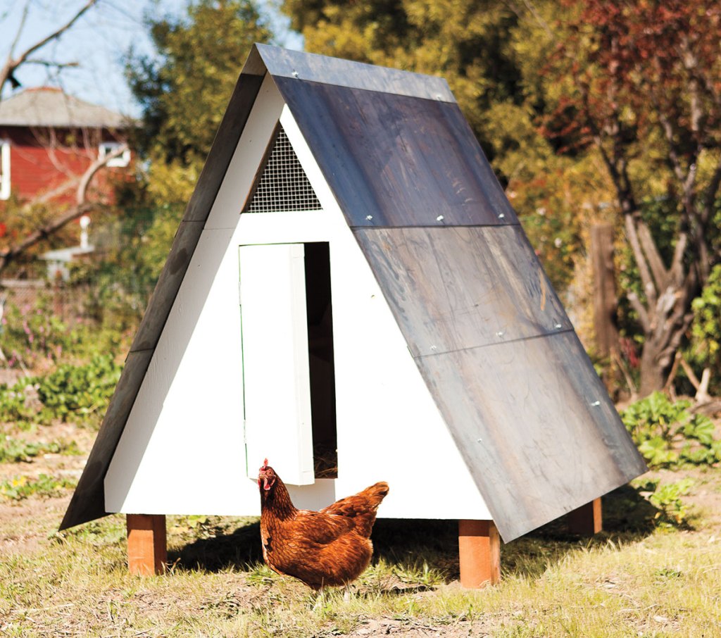 Photo of an A-frame Chicken coop