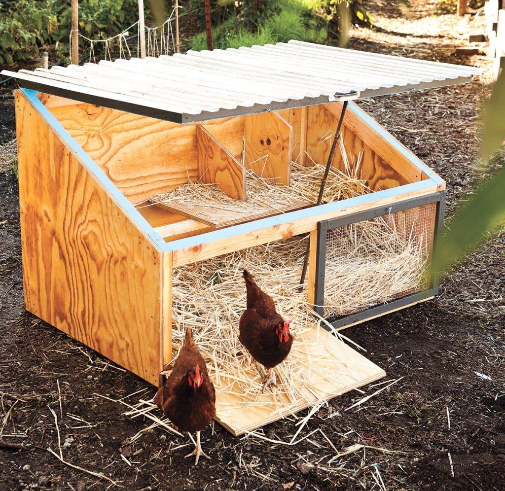 Photo of a small chicken box with a removable roof