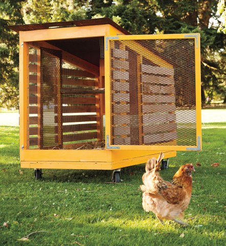 Backyard Makeover: Build a Chicken Coop