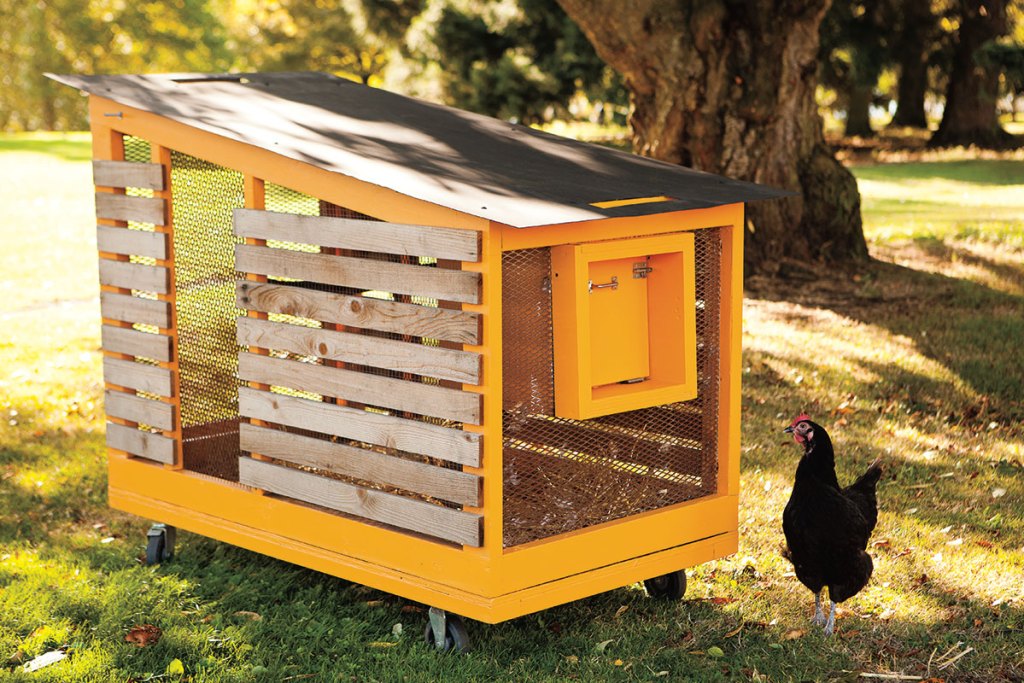 Photo of a small chicken coop on wheels