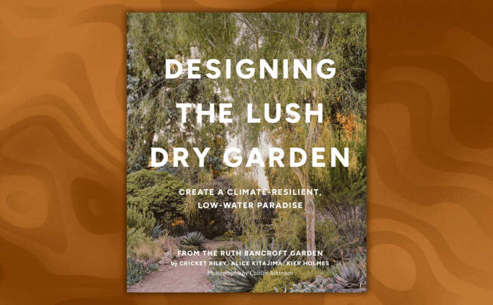 Book cover image of Designing the Lush Dry Garden with a link to the product page.