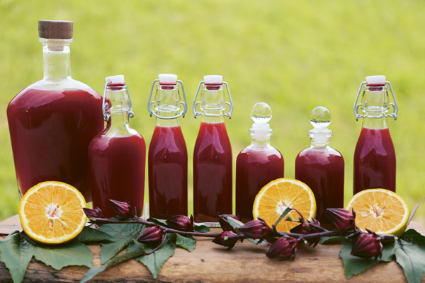 Photo of several glass bottles filled with hibiscus-pomegranate-orange fire cider sit on a table decorated with halved oranges and a floral stem.