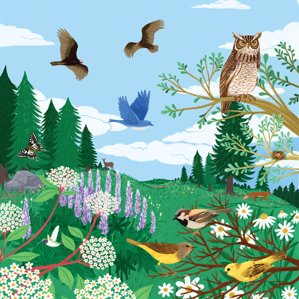 Illustration of birds in a field of flowers and trees excerpted from Backpack Explorer: Bird Watch
