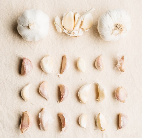 Gaga for Garlic