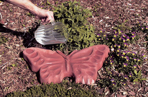 Photo of a terra cotta butterfly bath like this one will heat up in the sun and provide a drinking source and warm resting place for your visitors. Photo © by Giles Prett/SCI, excerpted from The Family Butterfly Book