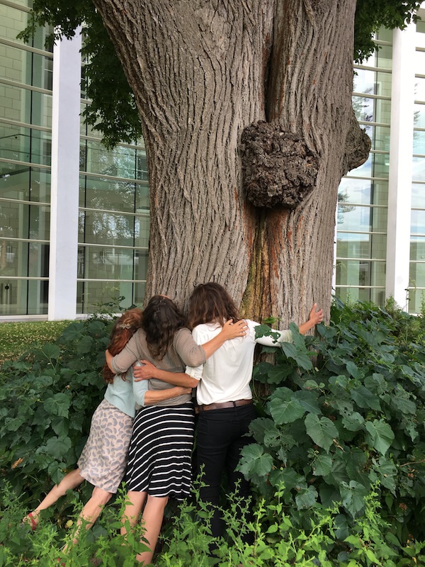 Image of three women hugging a large tree
