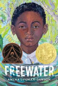 Freewater by Amina Luqman-Dawson
