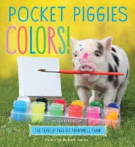 Pocket Piggies Colors!