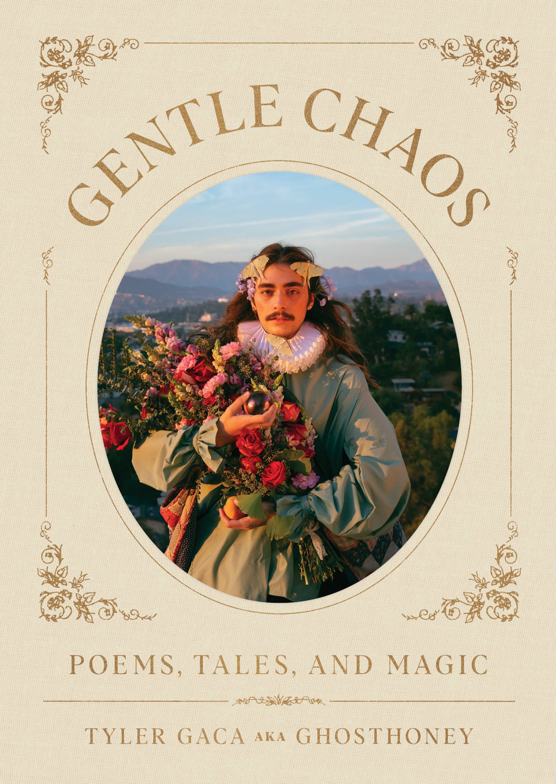Gentle Chaos book
