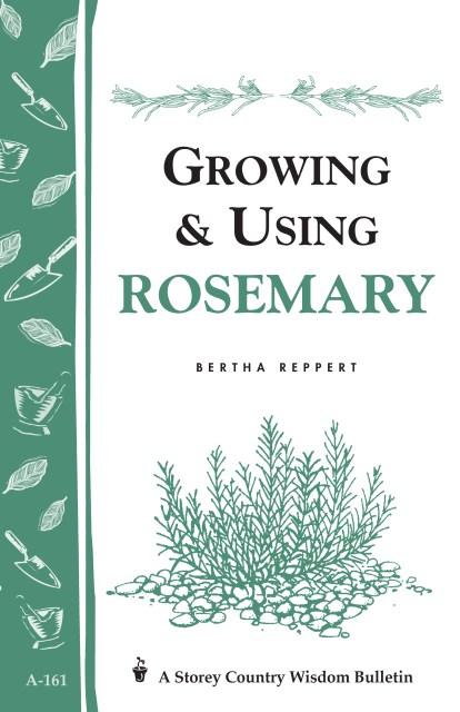 Growing & Using Rosemary