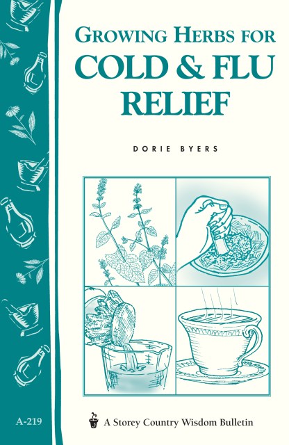 Growing Herbs for Cold & Flu Relief