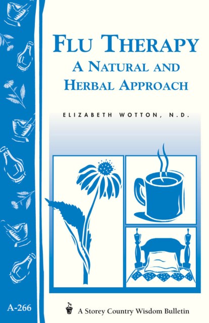 Flu Therapy: A Natural and Herbal Approach