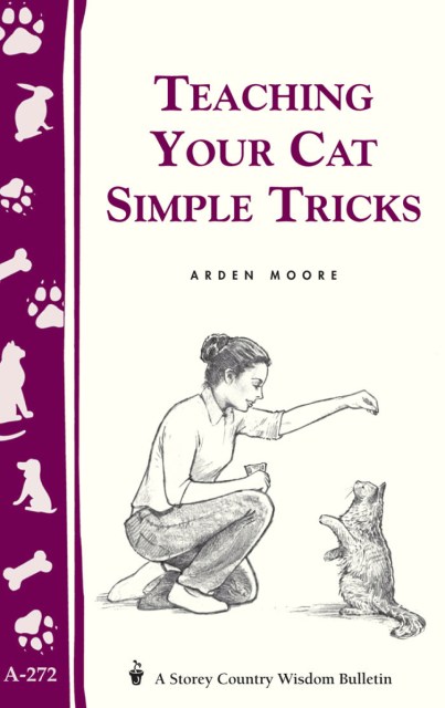 Teaching Your Cat Simple Tricks 