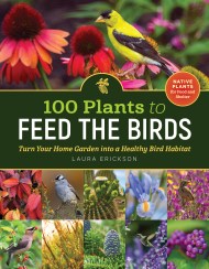 100 Plants to Feed the Birds