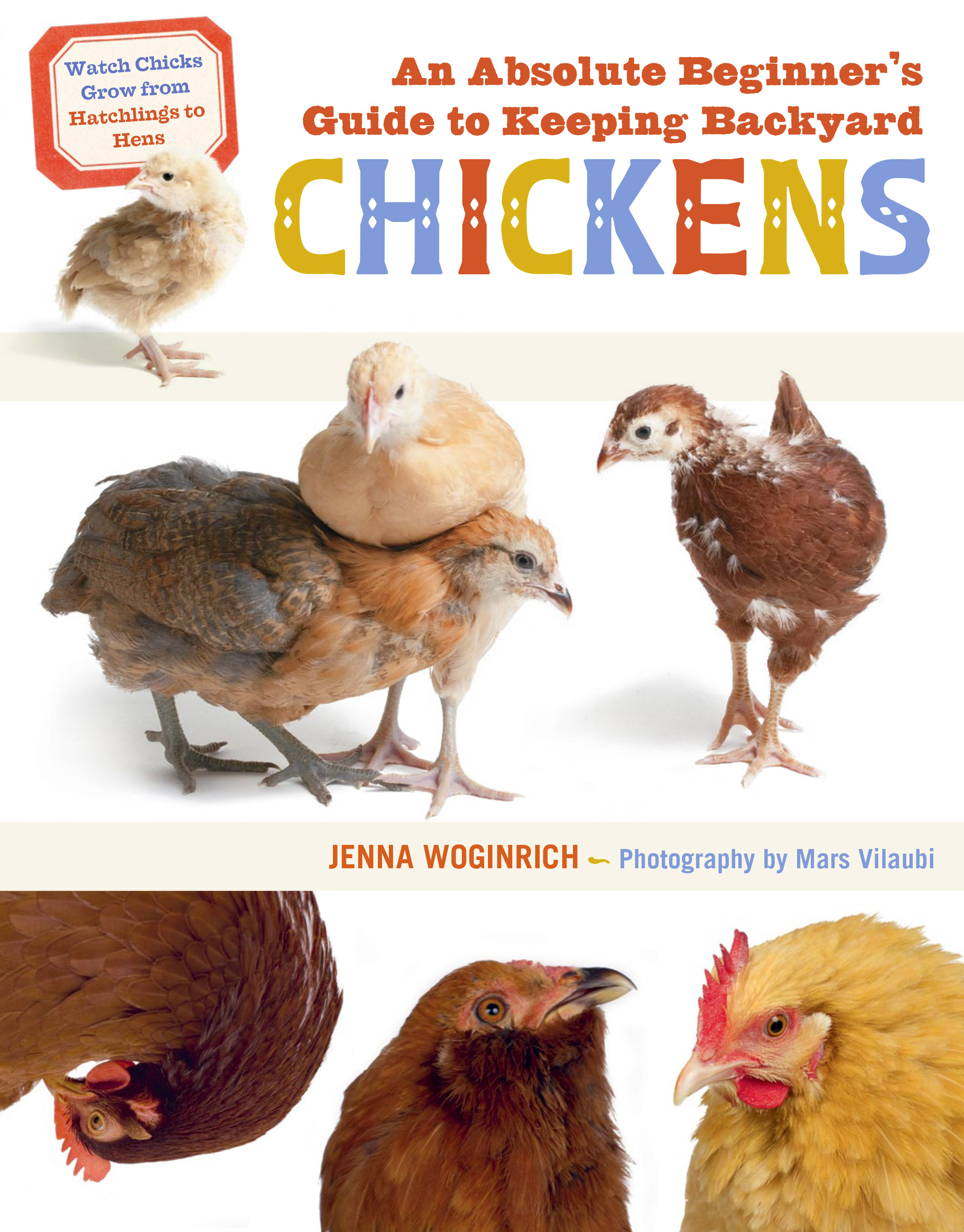 An Absolute Beginners Guide to Keeping Backyard Chickens by Jenna Woginrich Hachette Book Group picture