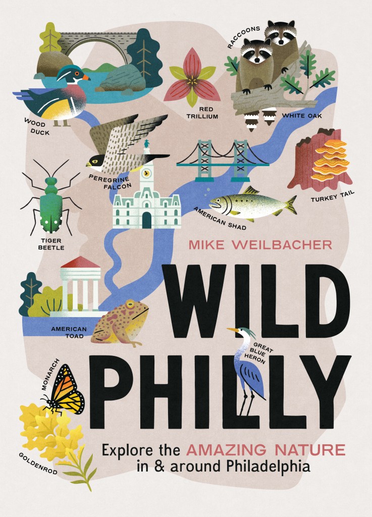 Book cover image of Wild Philly by Mike Weilbacher