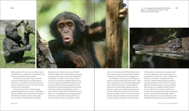 Two Page spread from Our Natural World Hermitage featuring image of baby monkey
