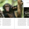 Two Page spread from Our Natural World Hermitage featuring image of baby monkey
