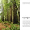 Two Page spread from Our Natural World Hermitage featuring Redwood National and State Parks
