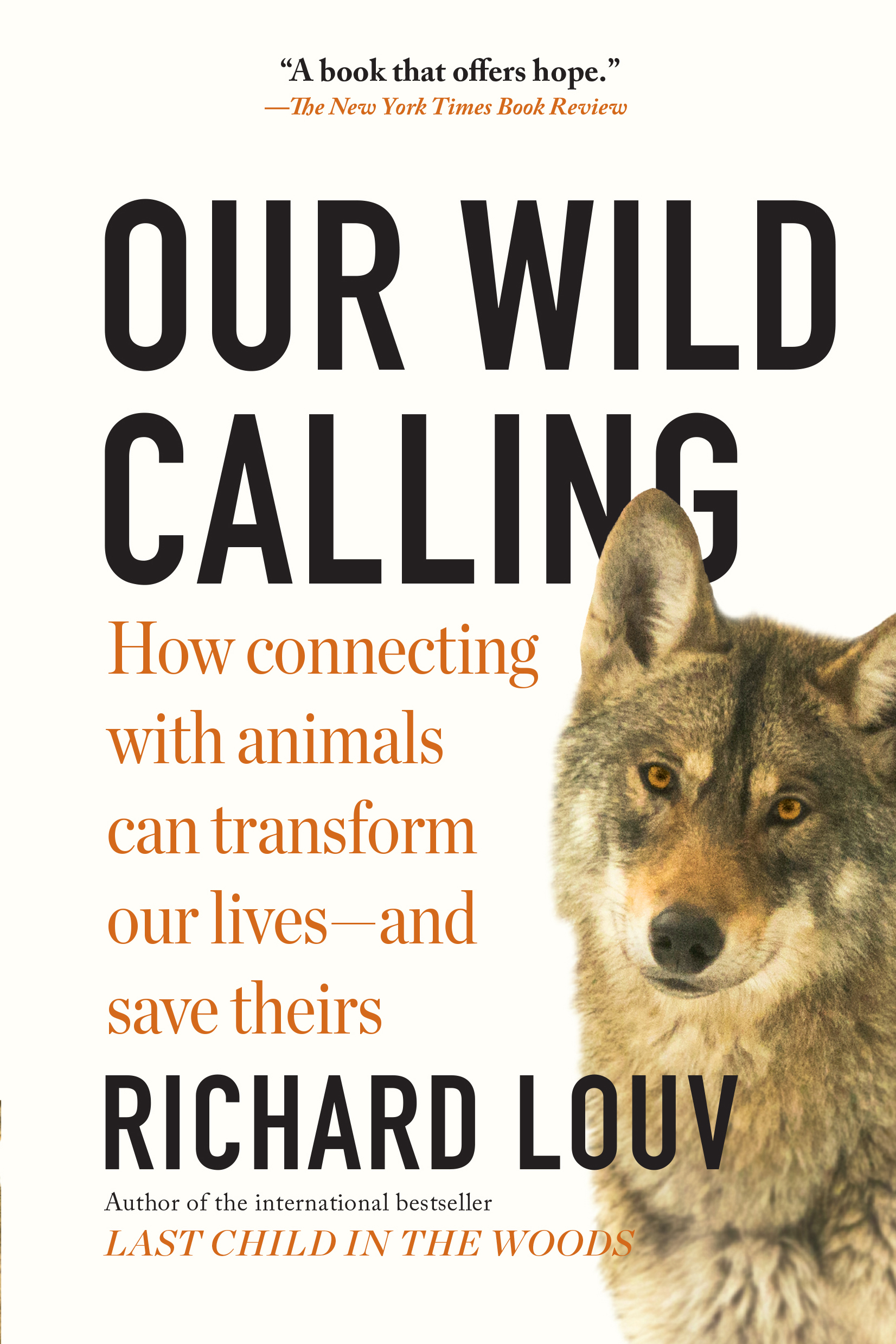 Our　Book　Hachette　Wild　Richard　Louv　Calling　by　Group