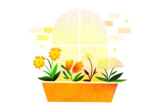 Illustration of yellow potted flowers by a windowsill, from Ritual by Nikki Van De Car, illustrated by Bárbara Tamilin
