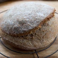 How to Make and Maintain Bread Leaven