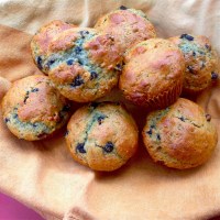 Making and Using Dried Blueberries