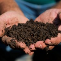 The Power of Mulch to Help Fight Drought