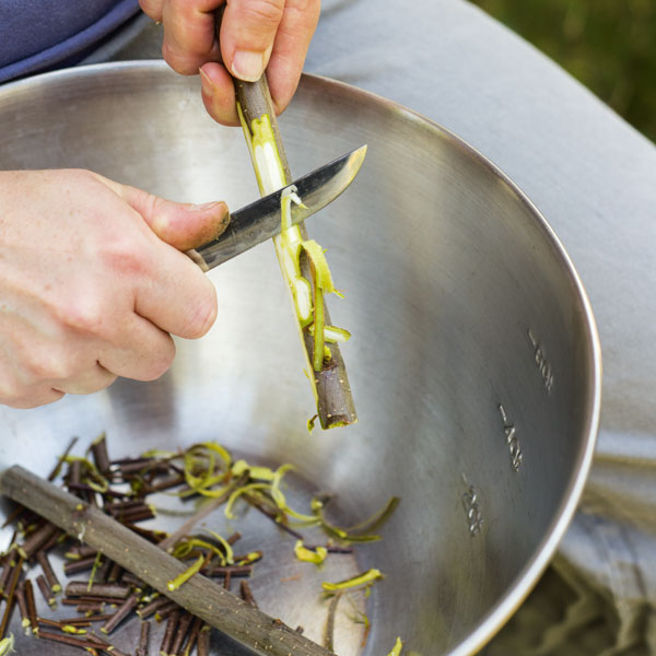 A photo of hands holding a knife and shaving bark off of a small branch.