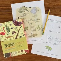 Nature Anatomy Notebook how to draw a frog activity sheet.