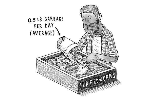 storey-One Bin at a Time: The Pioneering Mind Behind Worms Eat My Garbage-02