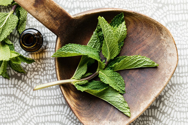 Photo of a sprig of peppermint on a brown wooden platter.