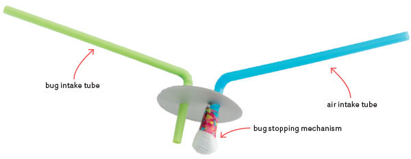 storey-Outdoor Fun in a Jar: Science Activities for Kids-02