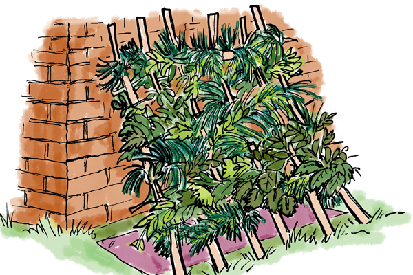 storey-How to Make a Loom Tent Hideout-04