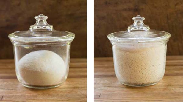 In each refreshment cycle, the fermenting leaven increases in volume and develops complex aromas and flavors. Photo © Keller + Keller Photography, excerpted from Cooking with Fire.