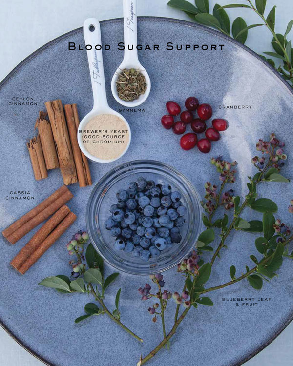 Photo of blood sugar supporting herbs and fruits, including blueberries, cranberries, brewer's yeast, cinnamon, and gymnema.