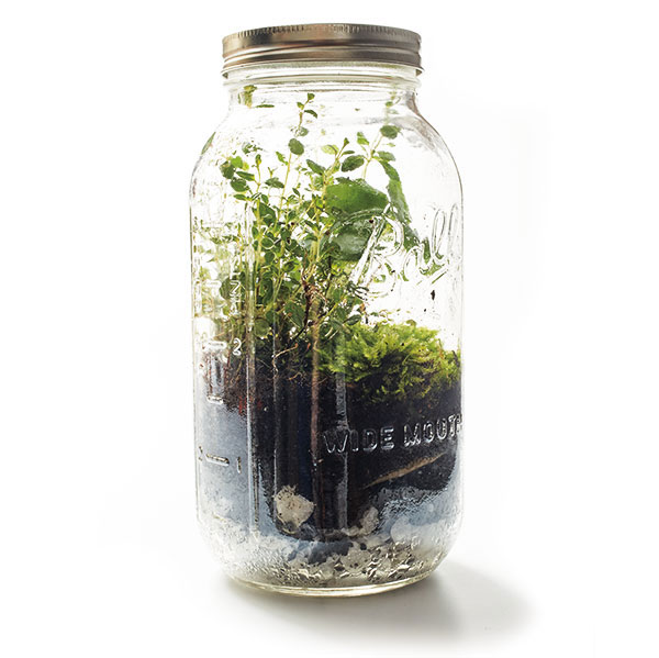 storey-Outdoor Fun in a Jar: Science Activities for Kids-04