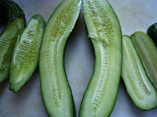 storey-Picking the Best Varieties of Cucumber-02