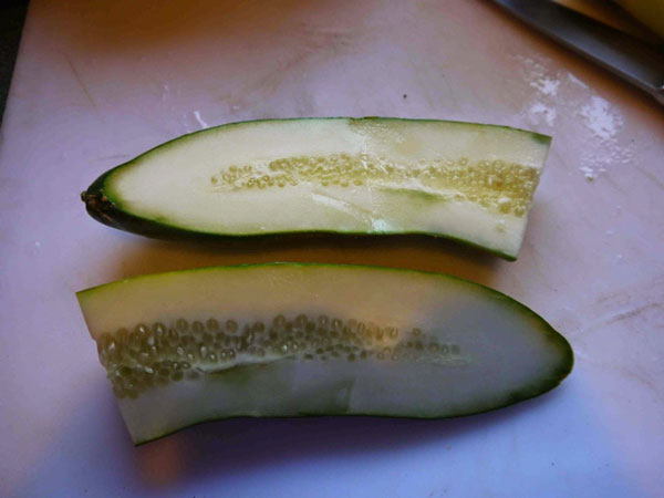 storey-Picking the Best Varieties of Cucumber-04