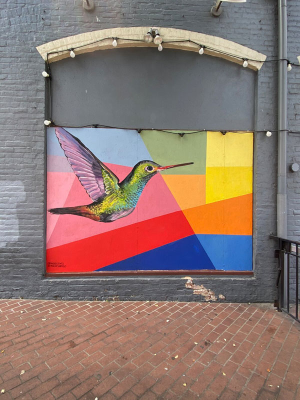 Photo of realistic hummingbird mural.