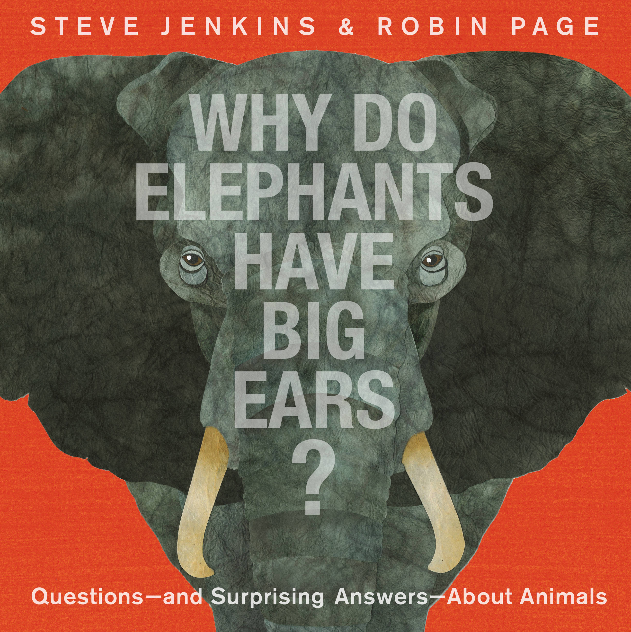 Why Do Elephants Have Big Ears? by Steve Jenkins | Hachette Book Group