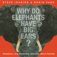 Why Do Elephants Have Big Ears?