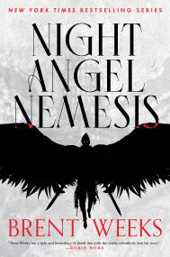 Night Angel Nemesis