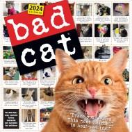 Bad Cat Wall Calendar 2024
