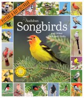 Audubon Songbirds and Other Backyard Birds Picture-A-Day Wall Calendar 2024