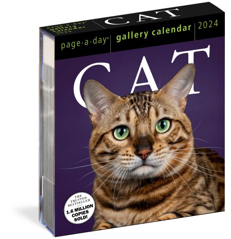 Cat Page-A-Day Gallery Calendar 2024 by Workman Calendars | Hachette Book  Group